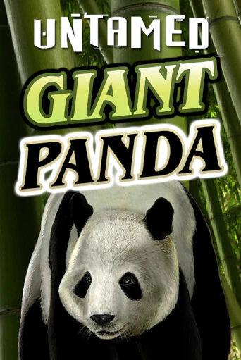 Untamed - Giant Panda бесплатно играть онлайн на сайте Казино GRAND Онлайн